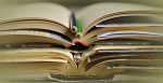 Studente lavoratore? Come conciliare studio e lavoro
